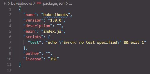 生成package.json